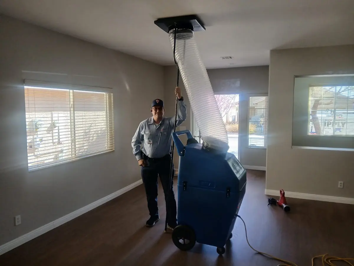 Professional Dryer Vent Cleaning work inside a Frankfort home